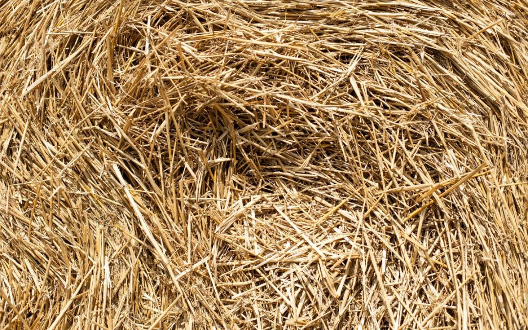 la maison en paille, une solution économique et écoresponsable.